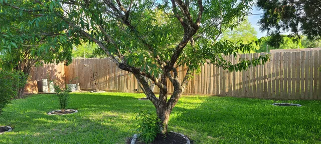 a backyard of a house with lots of plants and large trees