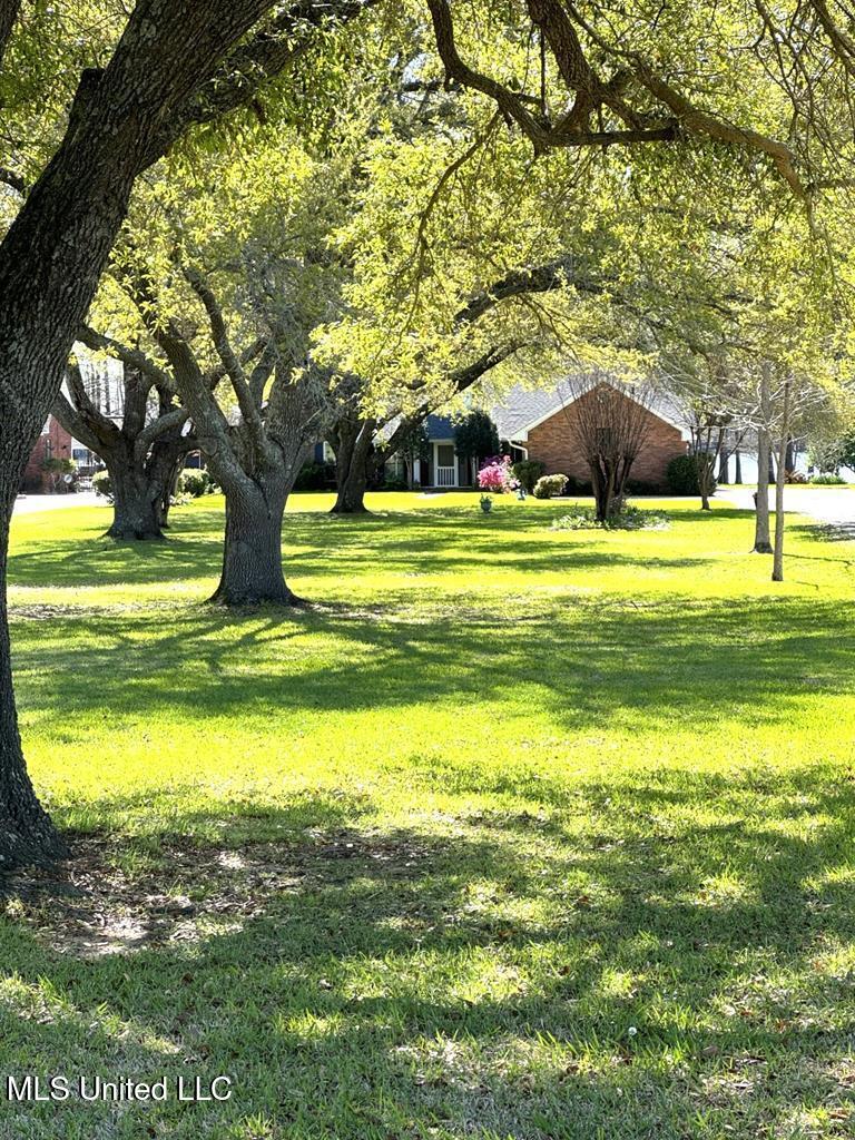 1035 State Rte 568 Ferriday, LA 71334 - Photo 2 of 42 20240205_1