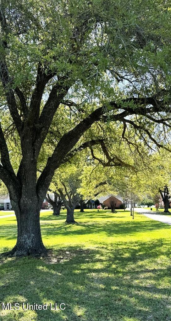 1035 State Rte 568 Ferriday, LA 71334 - Photo 42 of 42 20240205_43