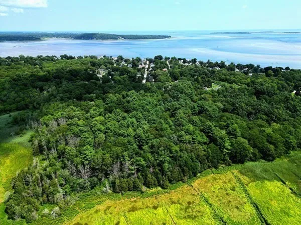 a view of a lake with a city
