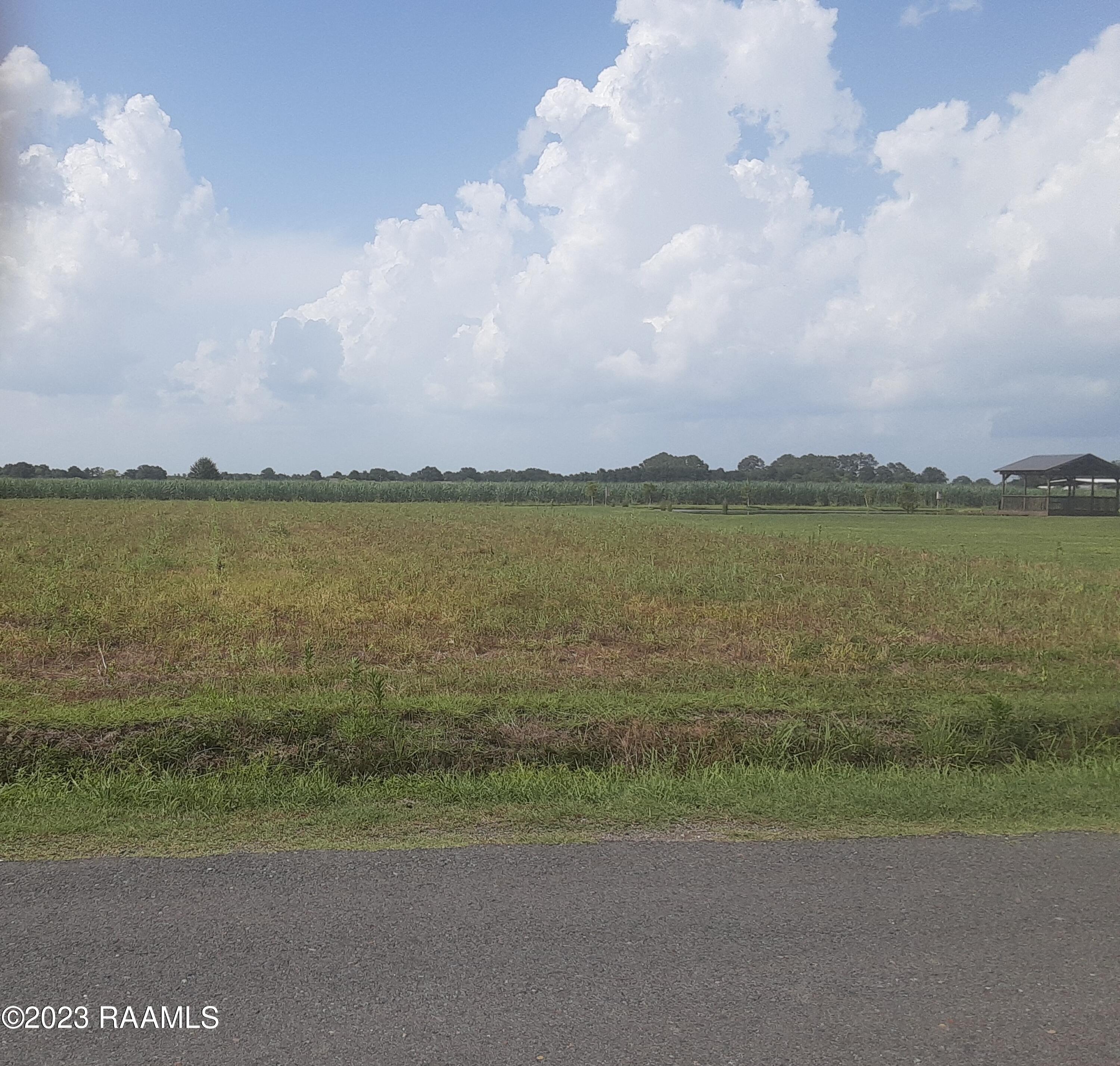 3230 Pickett Road Erath, LA 70533 - Photo 1 of 1 20230717_160812