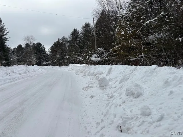 $44,900 | Blue Waters Road, Forestport, NY 13338