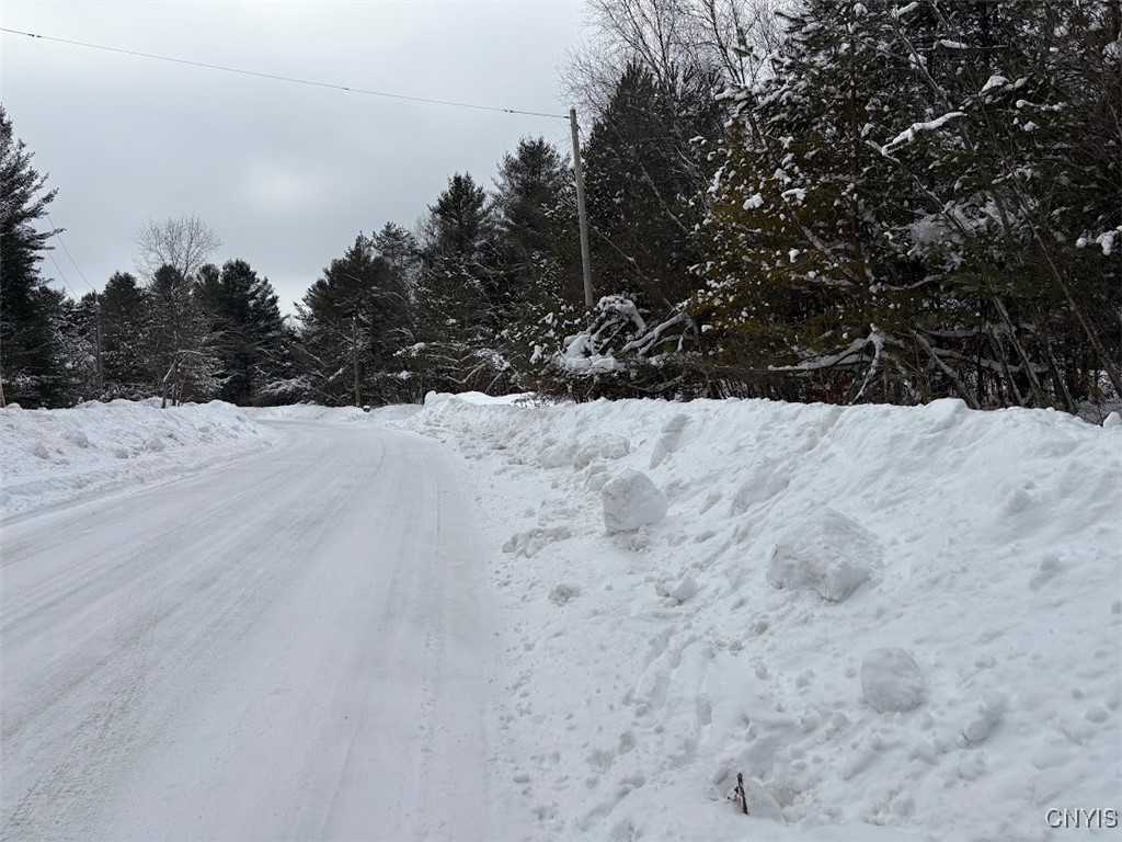 Blue Waters Road Forestport, NY 13338 - Photo 2 of 7