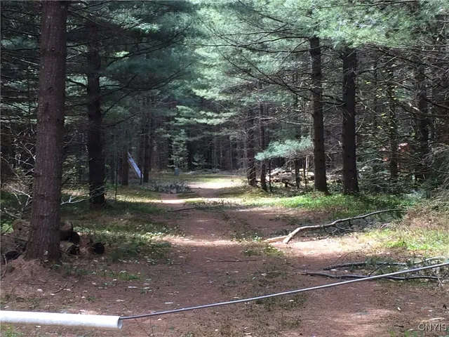 $44,900 | Blue Waters Road, Forestport, NY 13338