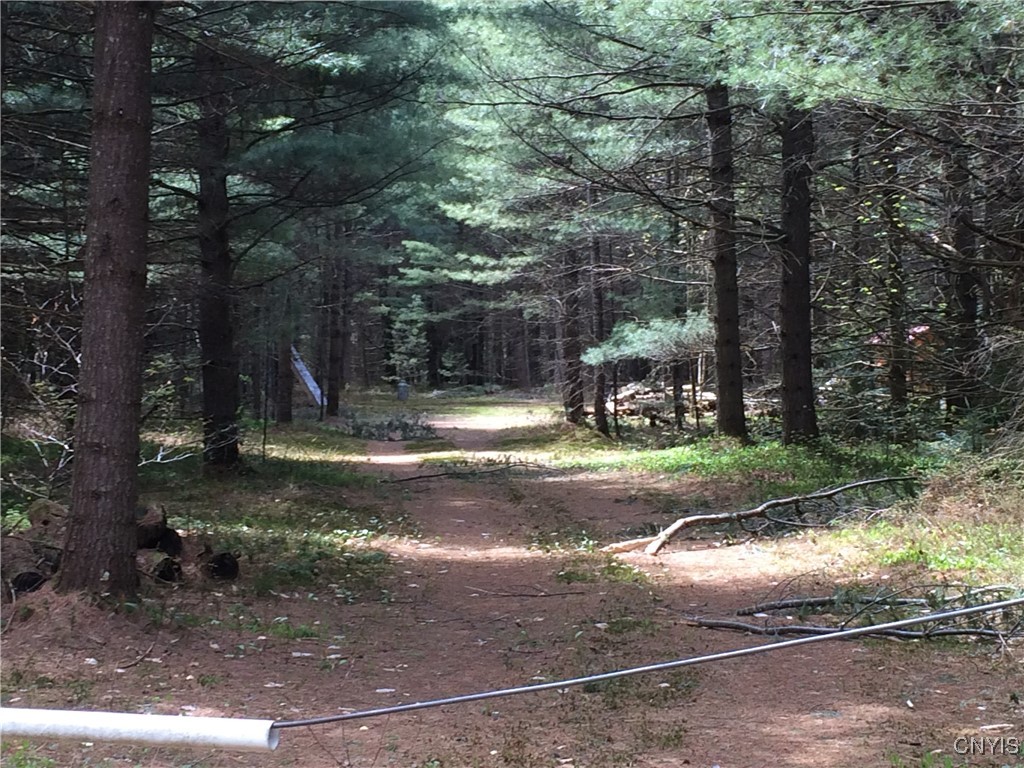 Blue Waters Road Forestport, NY 13338 - Photo 4 of 7