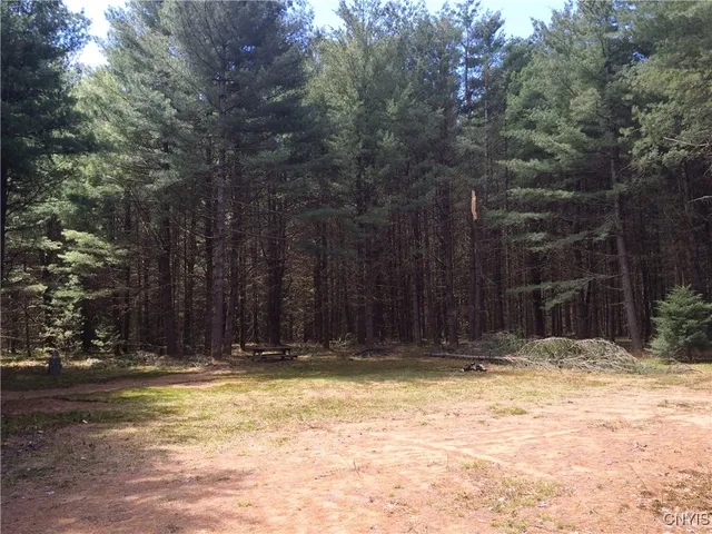 $44,900 | Blue Waters Road, Forestport, NY 13338