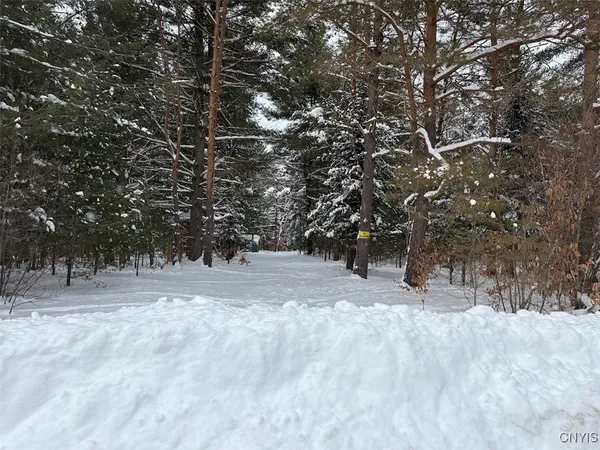 $44,900 | Blue Waters Road, Forestport, NY 13338