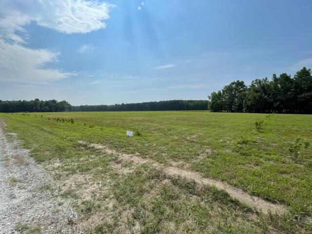 522 High Plains Ridgeville, SC 29472 - Photo 5 of 9 IMG_1639