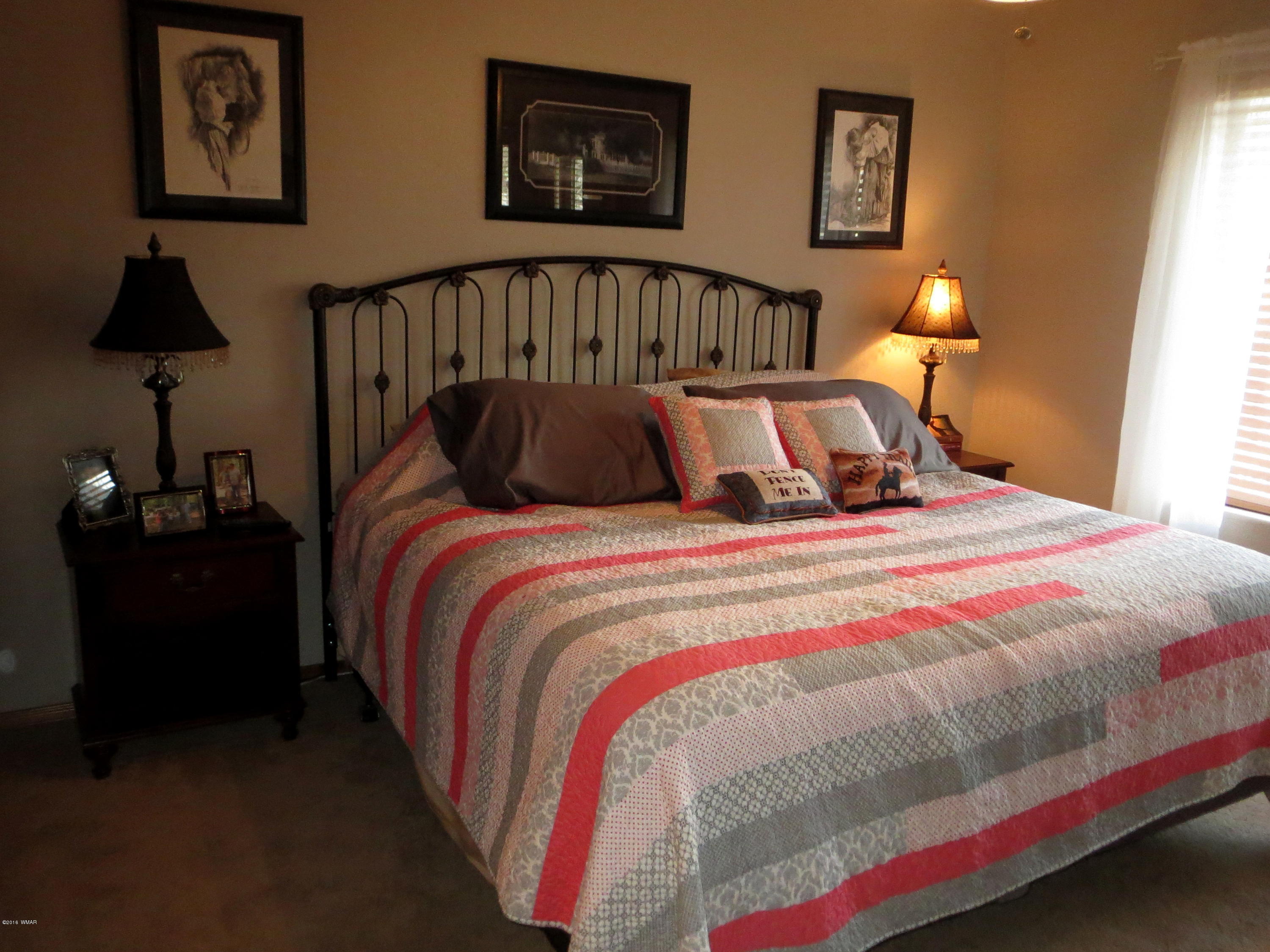 2345 Buffalo Loop Overgaard, AZ 85933 - Photo 16 of 31