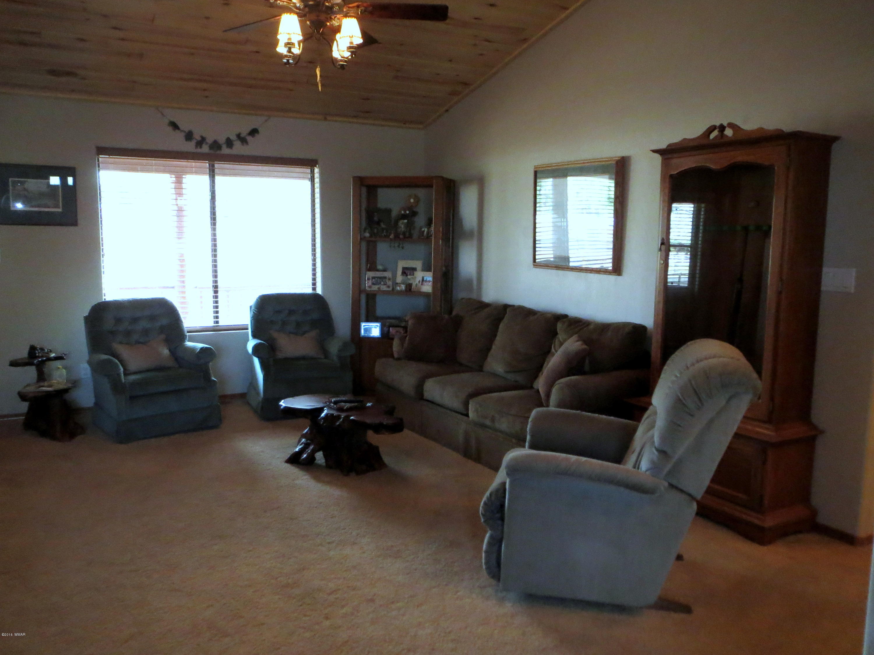 2345 Buffalo Loop Overgaard, AZ 85933 - Photo 2 of 31