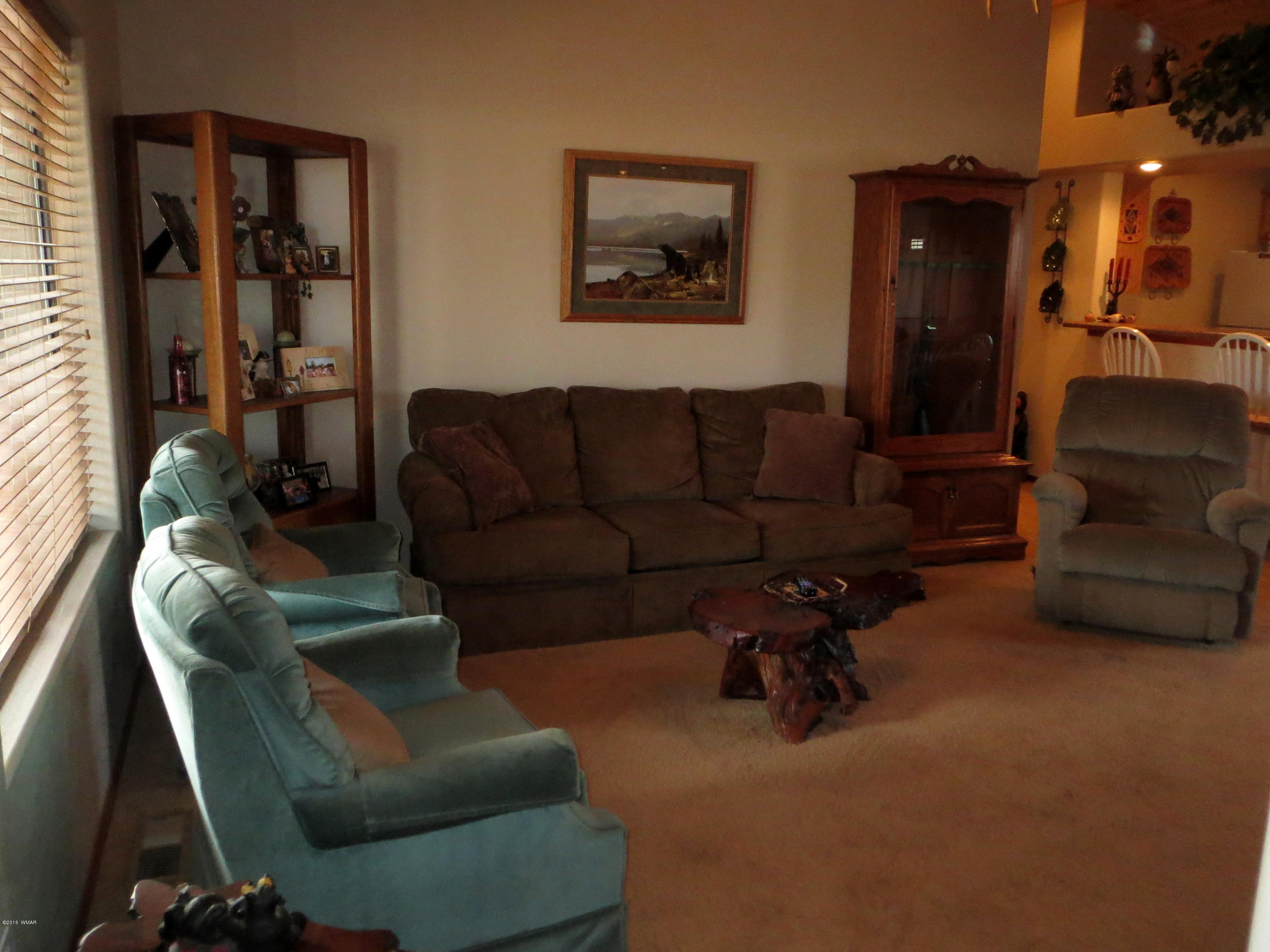 2345 Buffalo Loop Overgaard, AZ 85933 - Photo 3 of 31