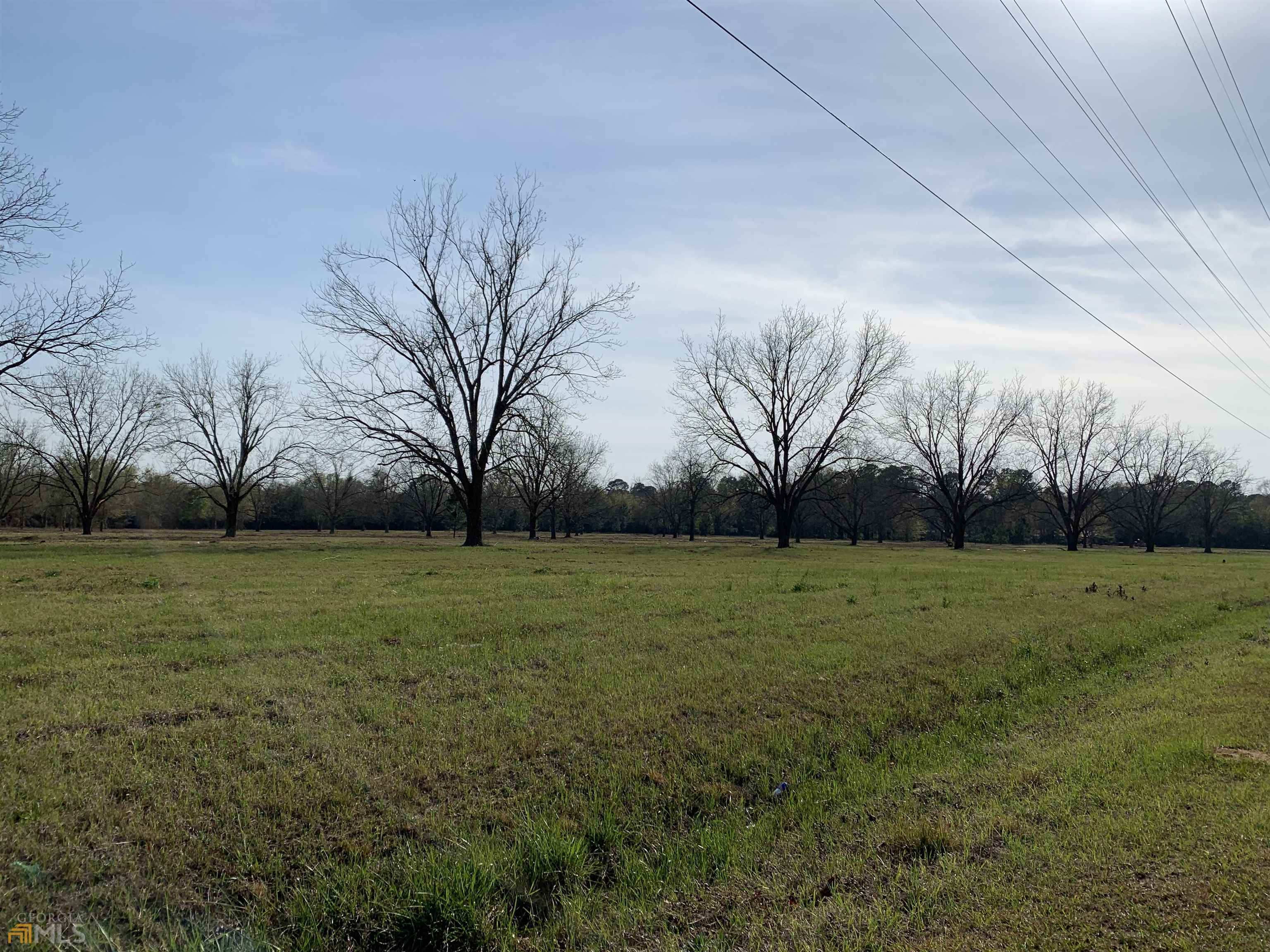 Lot 11 Fechtman Road Hawkinsville, GA 31036 - Photo 1 of 1 Gallery Image 1