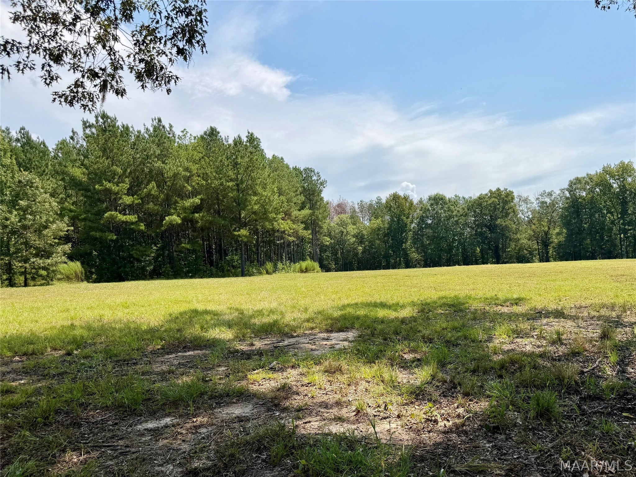 0 County Road 2 Road Hardaway, AL 36039 - Photo 10 of 24 Gallery Image 10