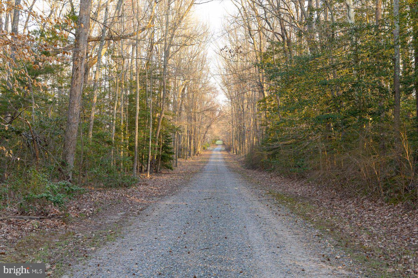 16212 Liberty Road King George, VA 22485 - Photo 86 of 96 Driveway view