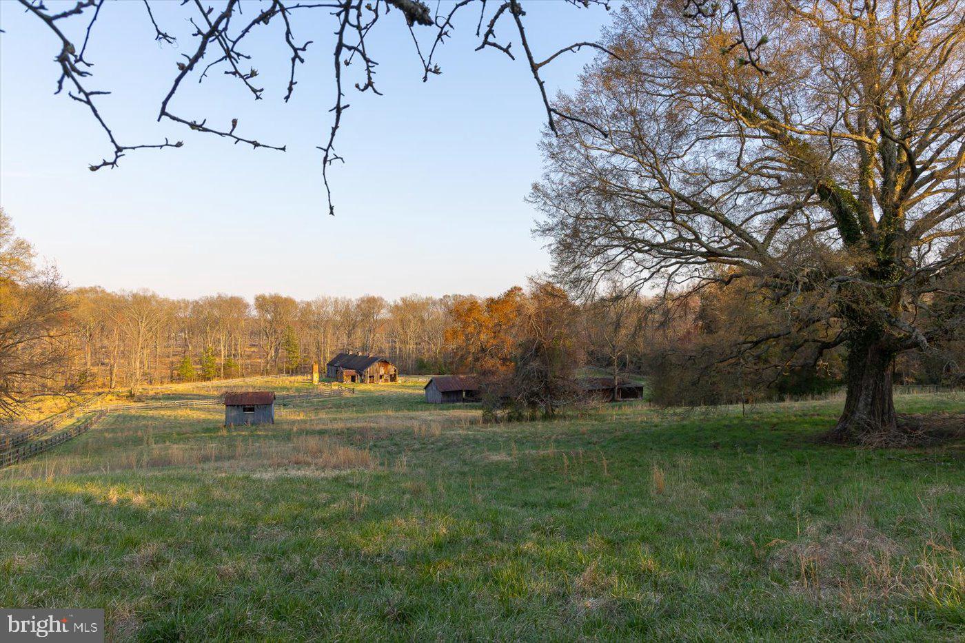 16212 Liberty Road King George, VA 22485 - Photo 90 of 96 Enjoy the views of 129 acres