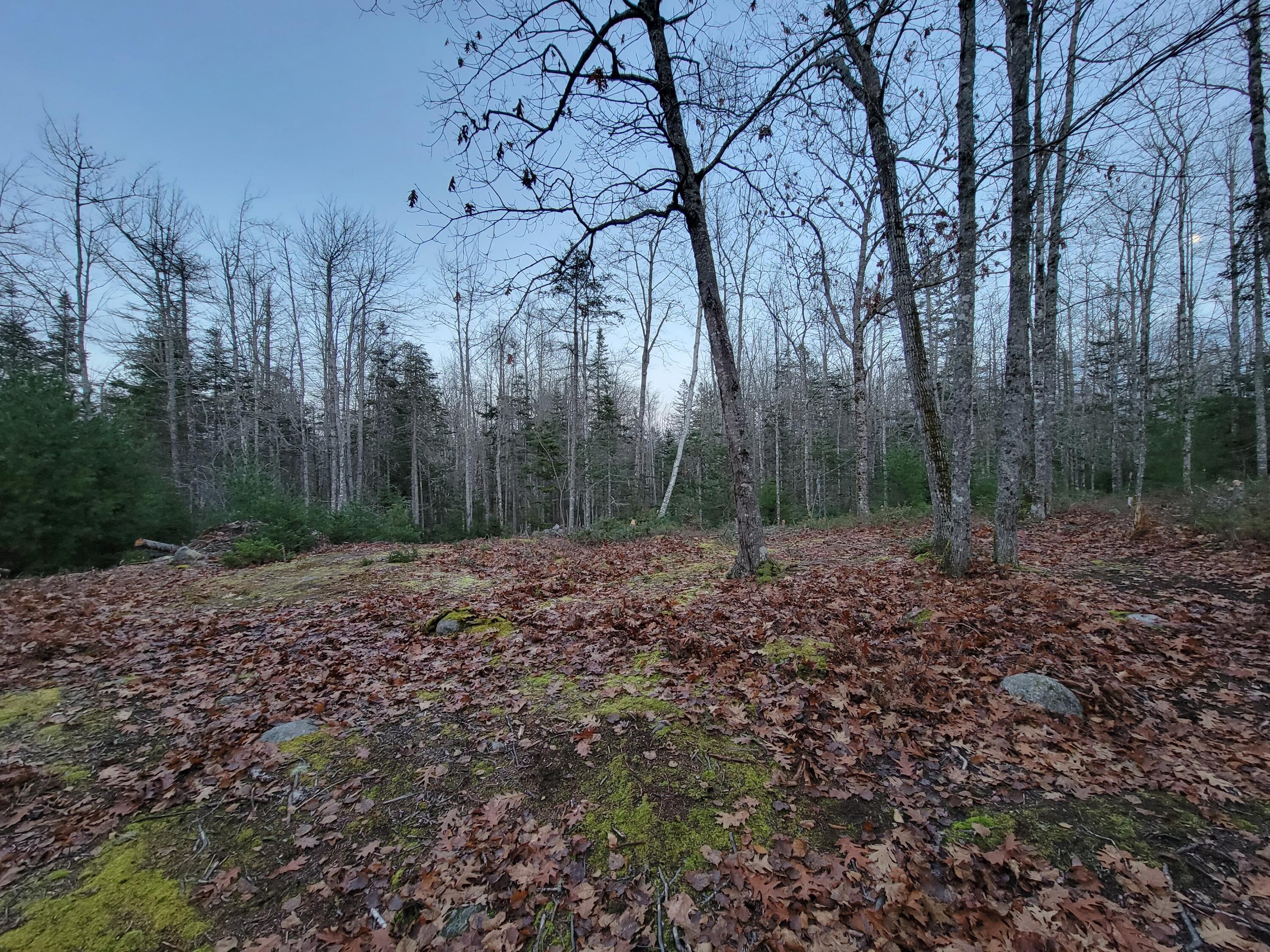 187 Morgan Bay Road Surry, ME 04684 - Photo 3 of 8 005