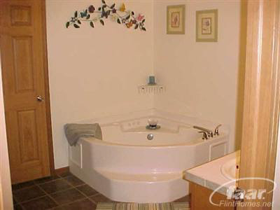 8358 South Reese Road Birch Run, MI 48415 - Photo 10 of 10 20234590-9.JPG