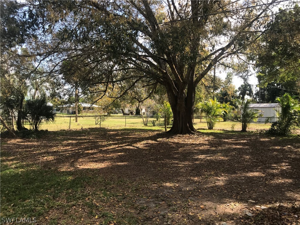 2316 Caladium Road Fort Myers, FL 33905 - Photo 2 of 18 a view of road with large trees