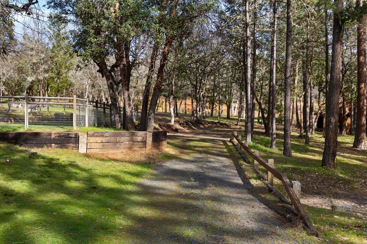 324 China Gulch Road Jacksonville, OR 97530 - Photo 36 of 45 a view of yard with tree