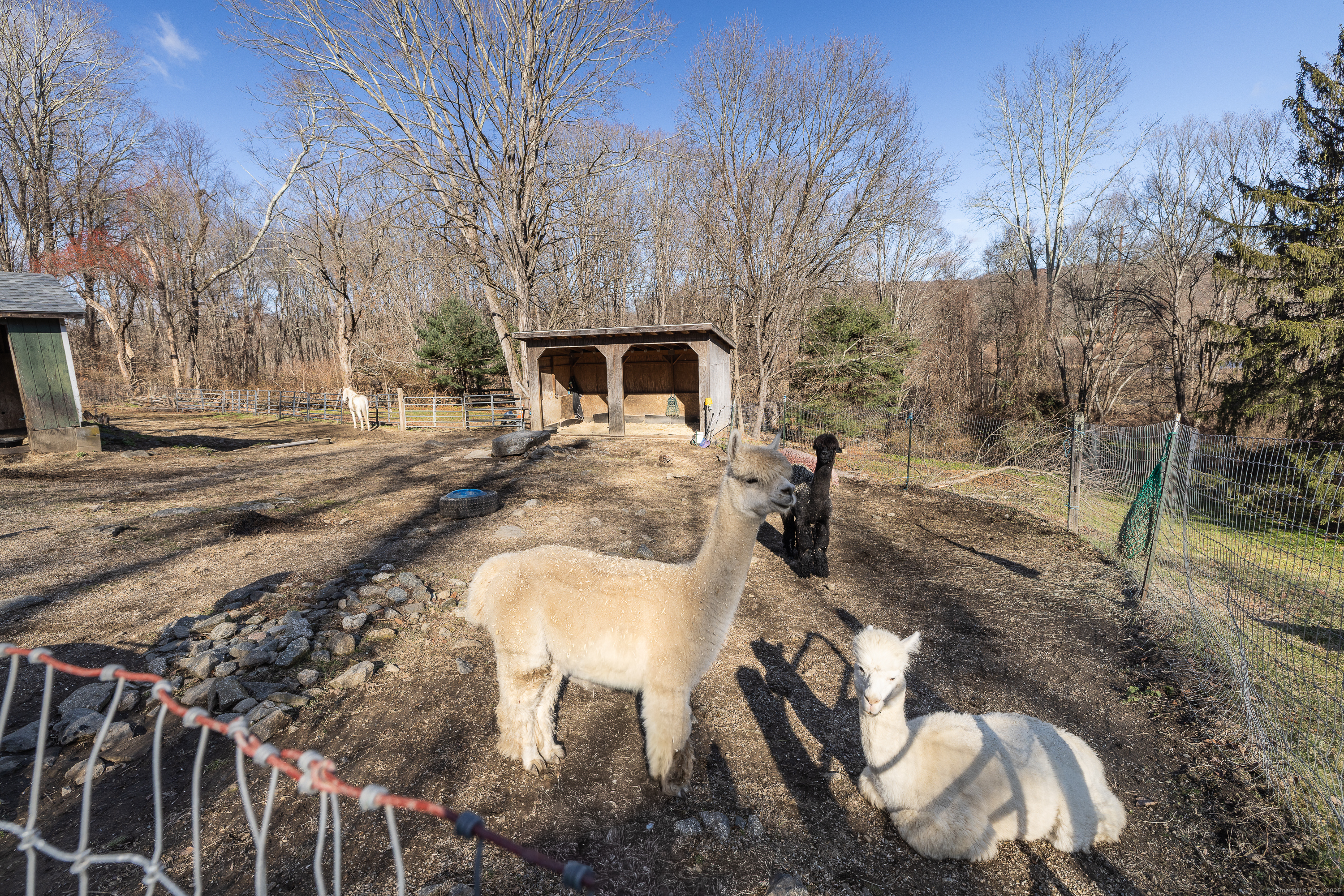 2 Stony Brook Road Newtown, CT 06470 - Photo 28 of 29 a view of backyard of house