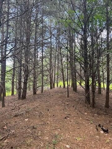 5 Owl Hollow Road Southwest McDonald, TN 37353 - Photo 20 of 32