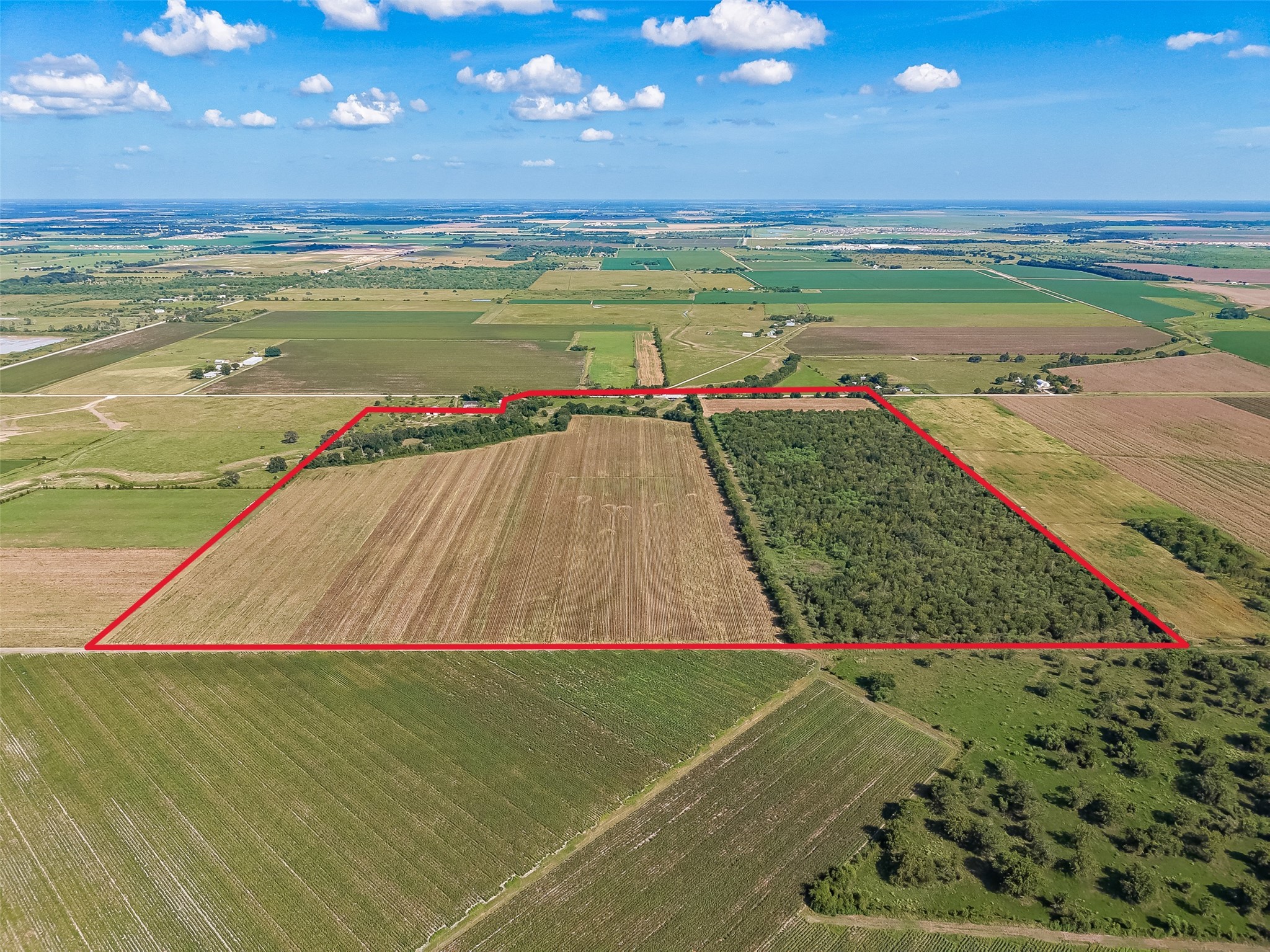 10542 Walker Road Beasley, TX 77417 - Photo 3 of 25 Gallery Image 3