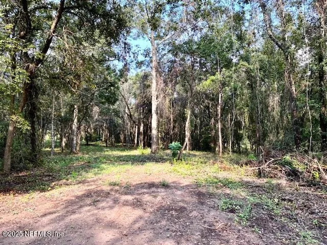 a view of a yard with a tree