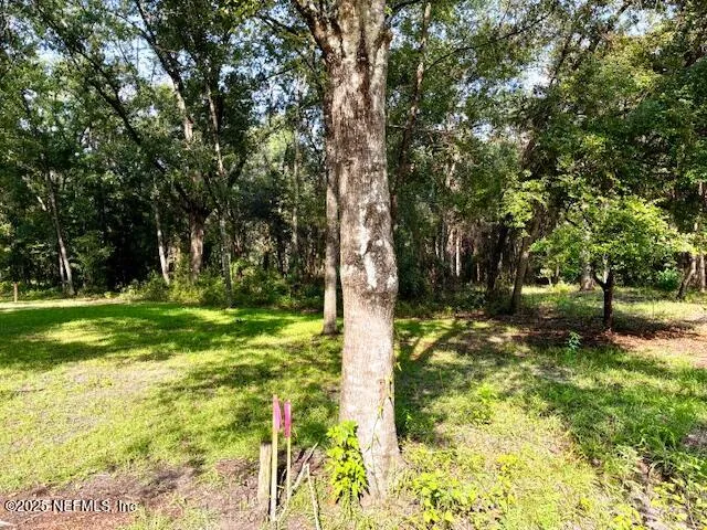 a view of a yard with large trees