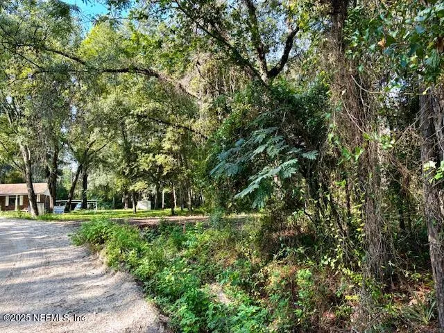 a big yard with flowing stream of water in middle
