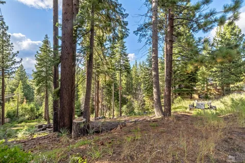 a view of backyard with green space