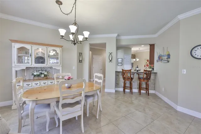 a room with furniture and a potted plant