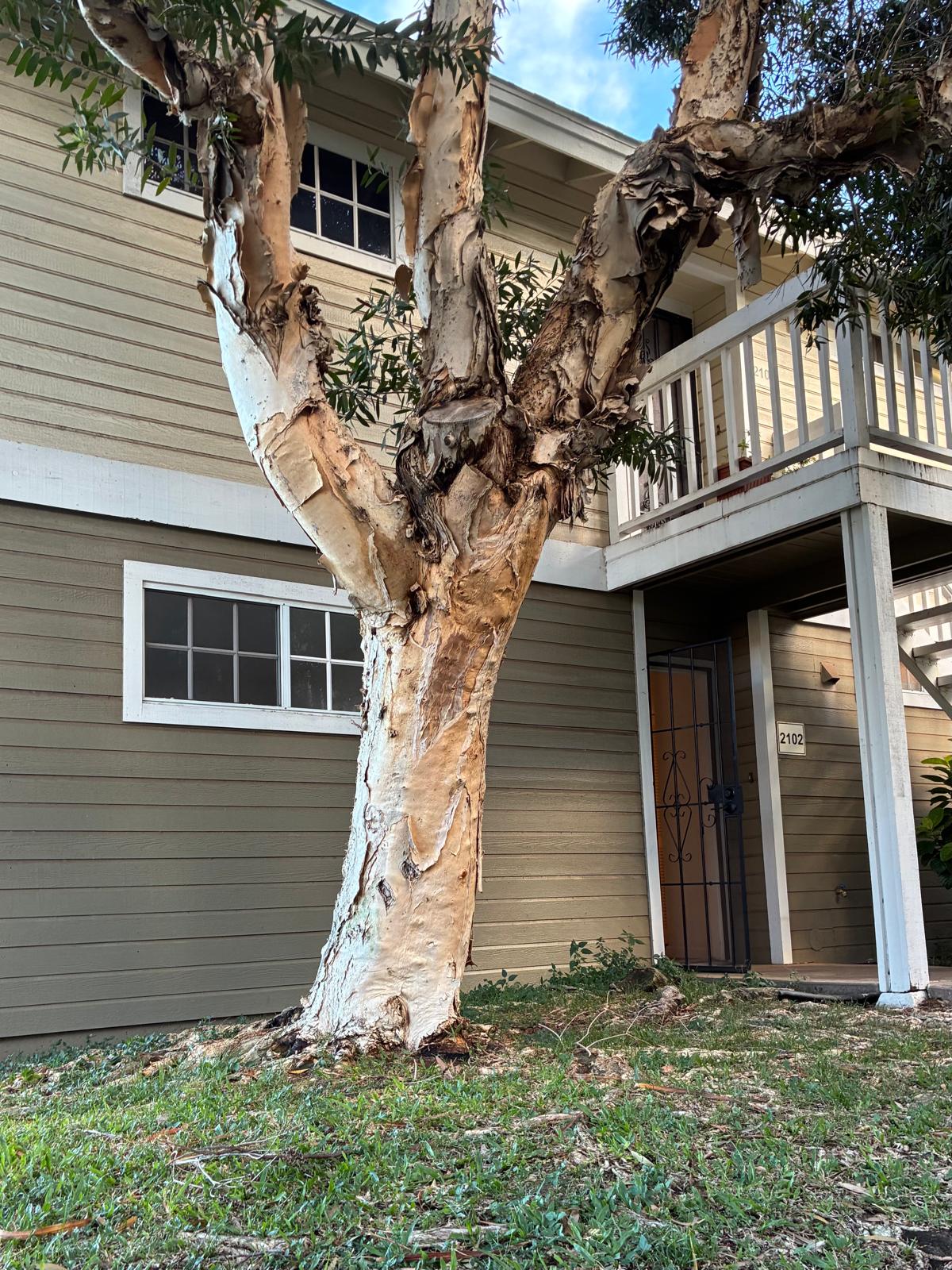 68-3883 Lua Kula Street, Unit 2102 Waikoloa, HI 96738 - Photo 14 of 21 a view of a house with a yard