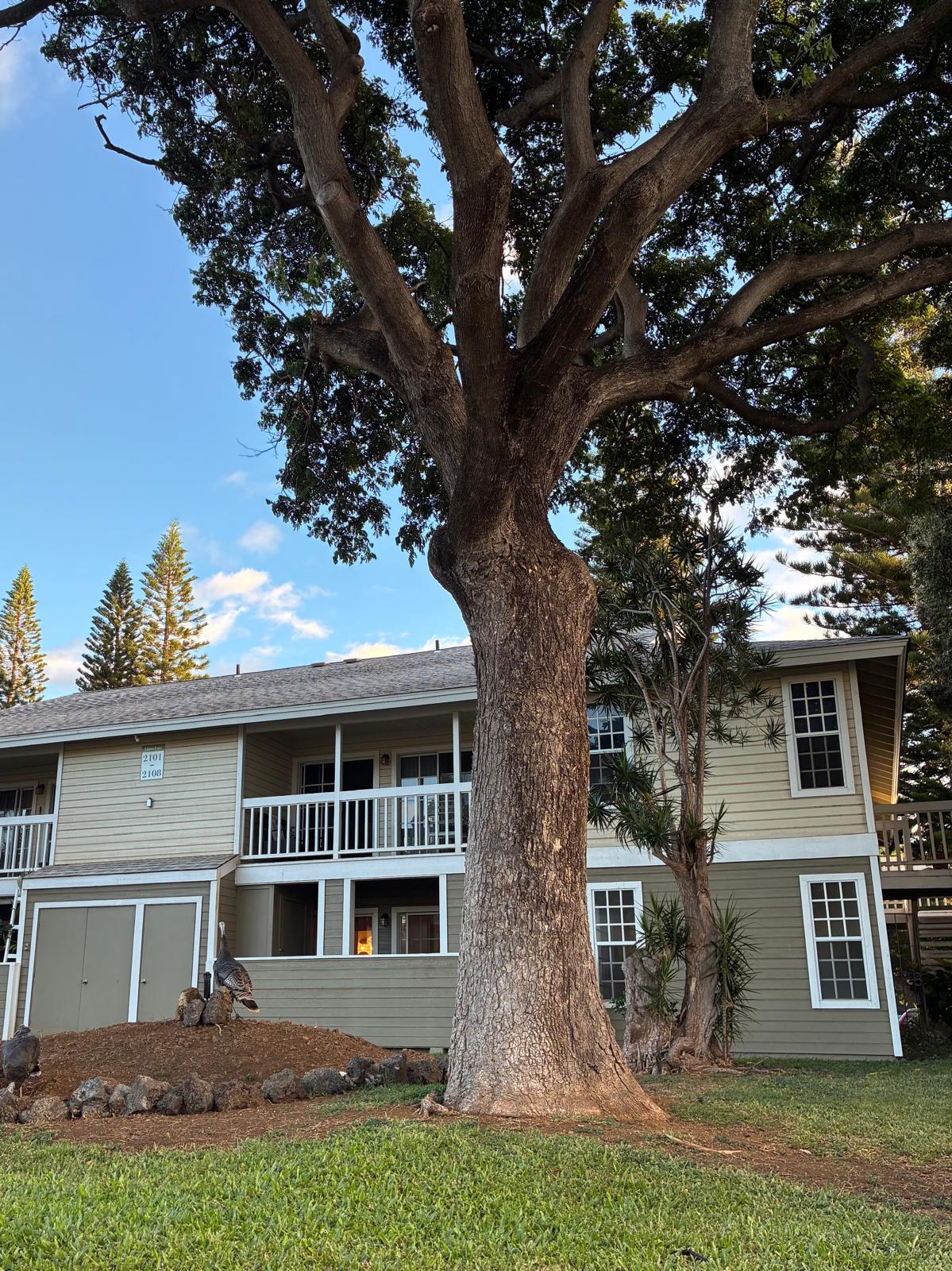 68-3883 Lua Kula Street, Unit 2102 Waikoloa, HI 96738 - Photo 15 of 21 a front view of a house with a yard