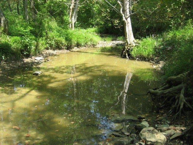1670 Greene Road Owenton, KY 40359 - Photo 10 of 22 Photo 10