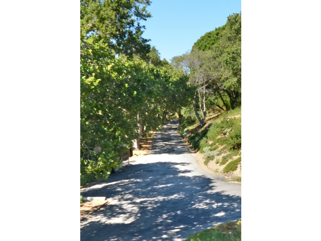 102 Las Lomas Drive Aptos, CA 95003 - Photo 18 of 25 a picture of a yard