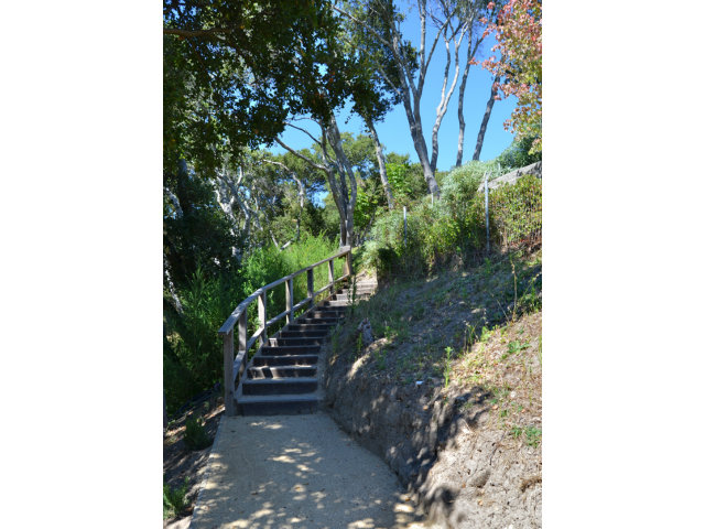 102 Las Lomas Drive Aptos, CA 95003 - Photo 22 of 25 a view of a yard with plants and a trees