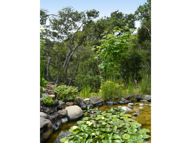 102 Las Lomas Drive Aptos, CA 95003 - Photo 23 of 25 a view of a yard