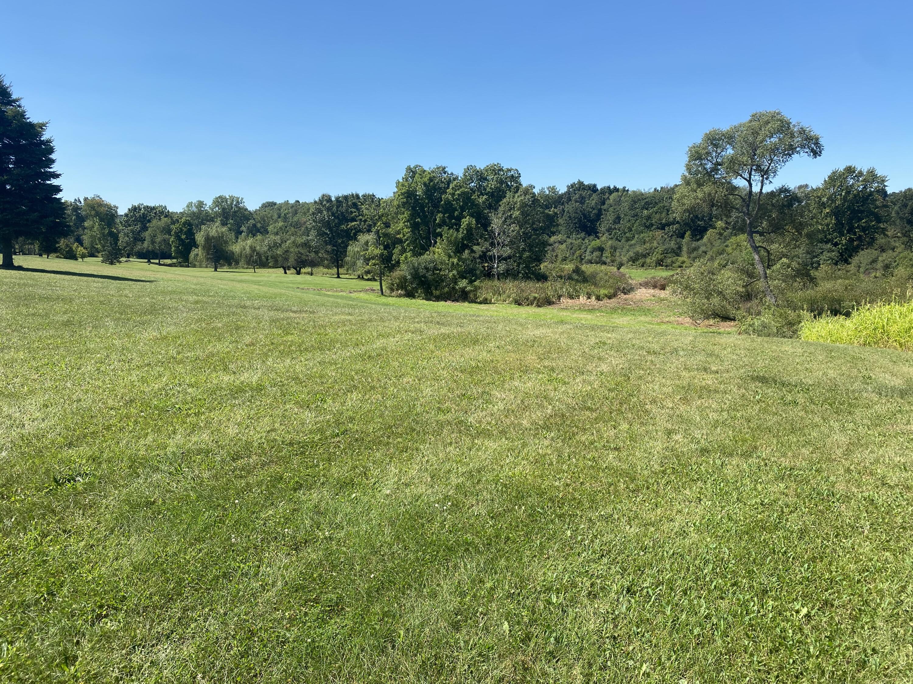 River Bend Drive, Unit 5 Concord, MI 49237 - Photo 2 of 20 IMG_7919
