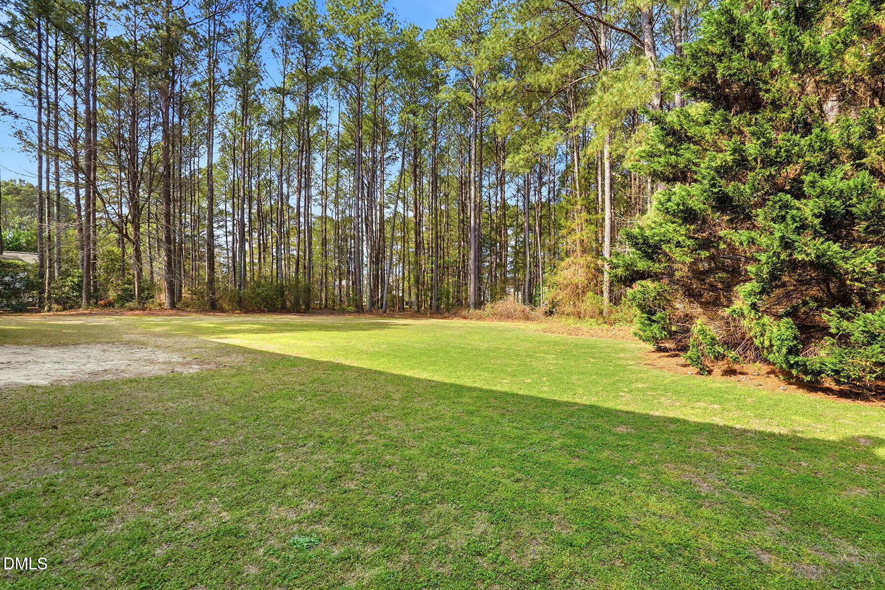 317 Atkinson Farm Circle Garner, NC 27529 - Photo 29 of 29 a view of swimming pool with large trees
