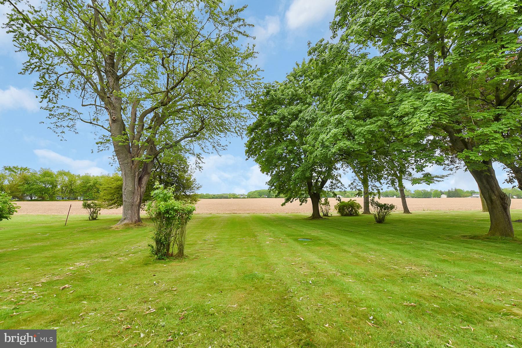 48 Cubberly Road Princeton Junction, NJ 08550 - Photo 23 of 26 Back Yard