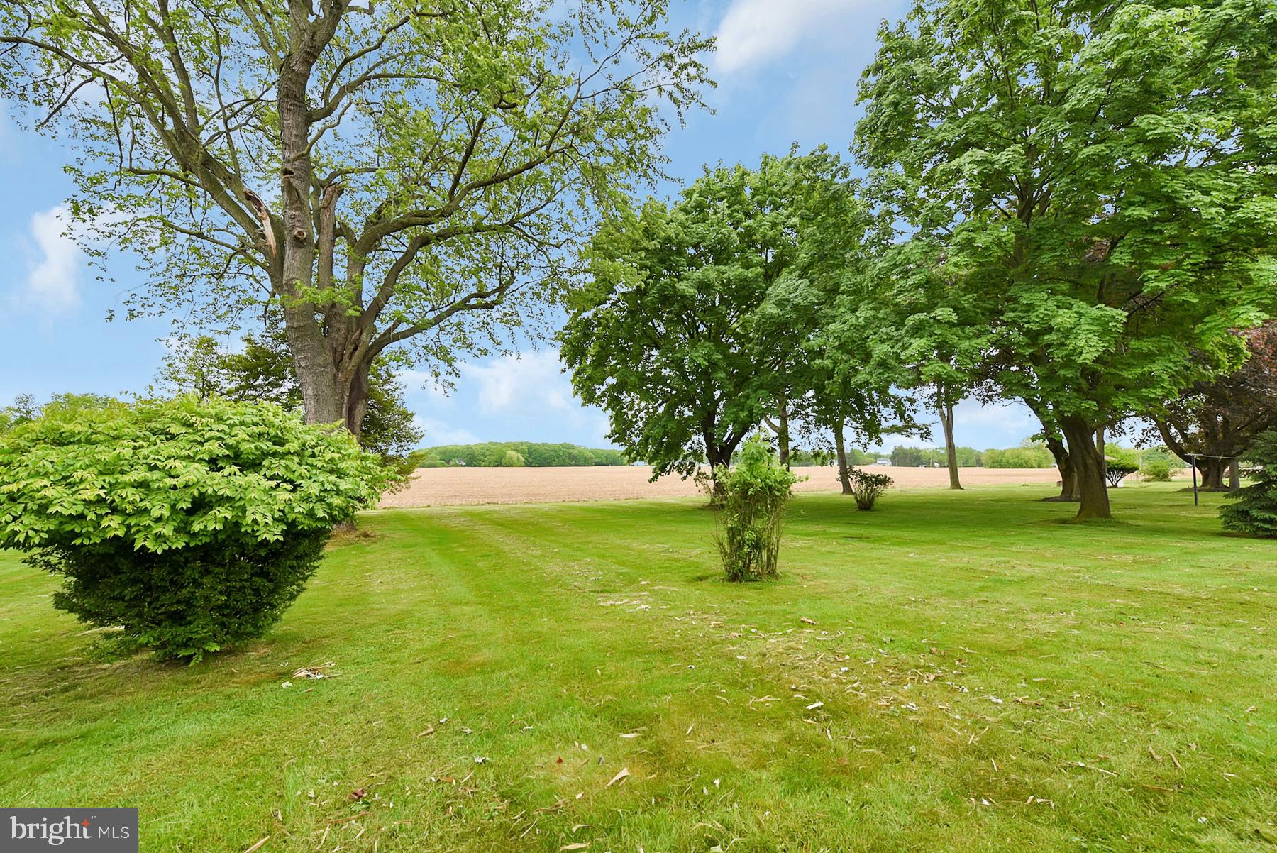 48 Cubberly Road Princeton Junction, NJ 08550 - Photo 24 of 26 Back Yard