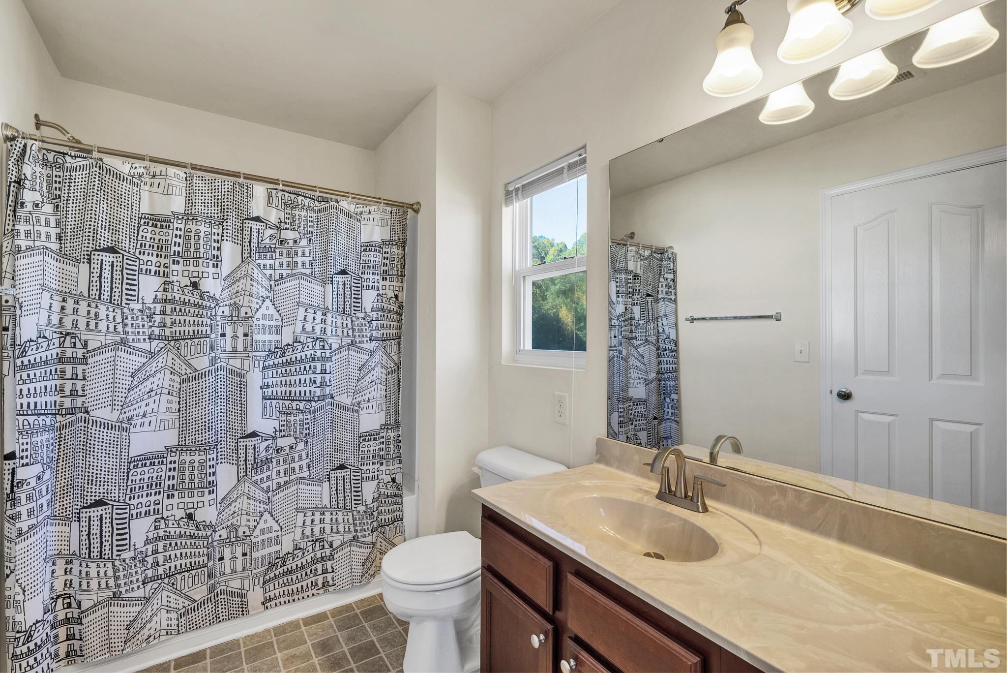 209 Lodestone Drive Durham, NC 27703 - Photo 23 of 30 a bathroom with a sink a toilet and a mirror