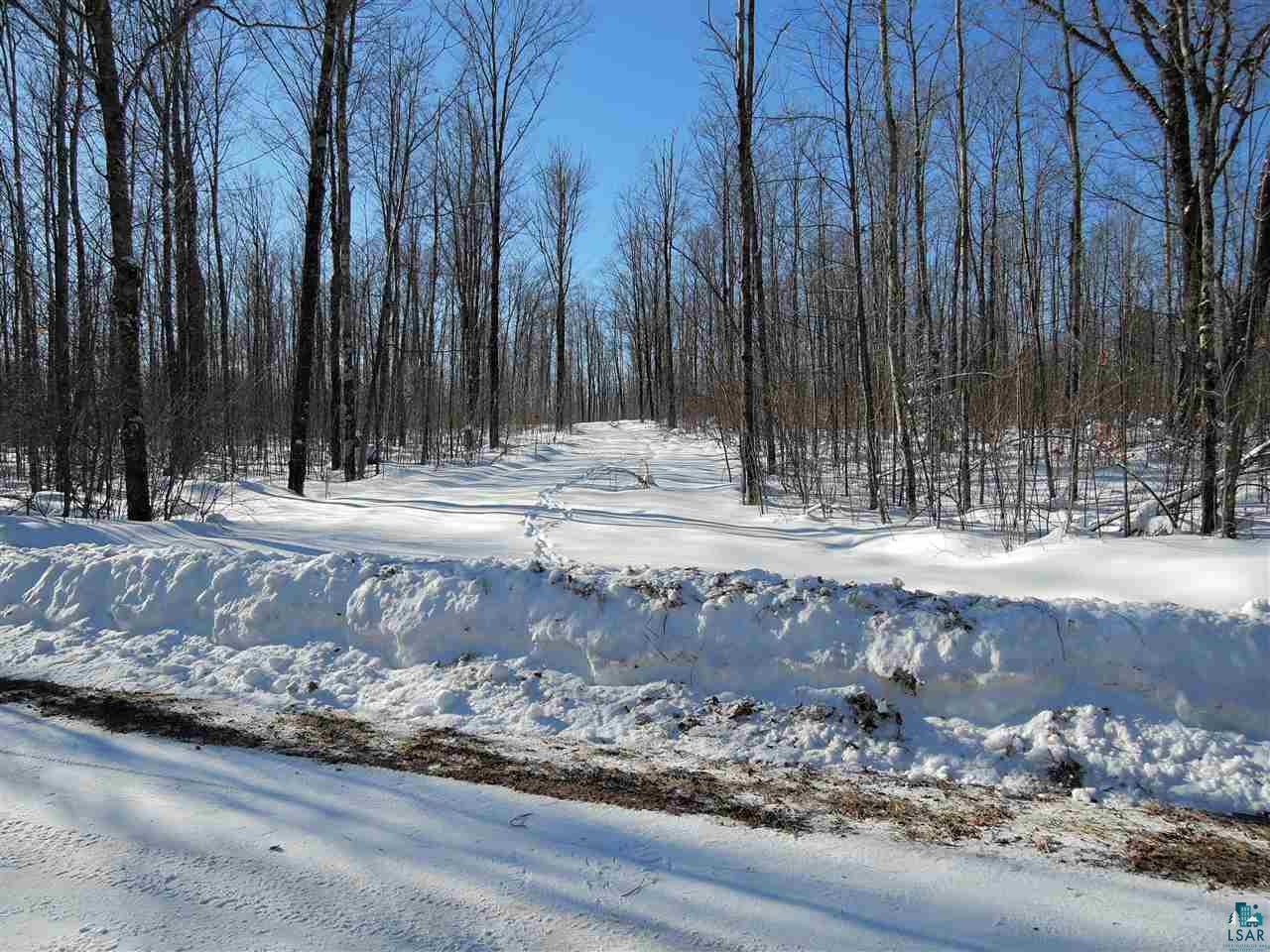 65-xxx Simo Road Marengo, WI 54855 - Photo 3 of 17