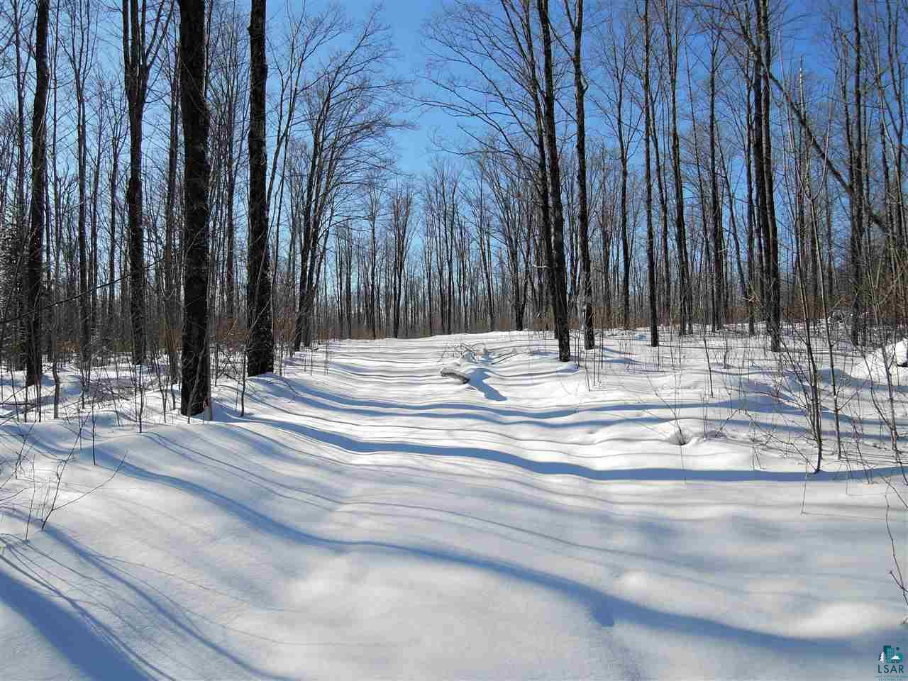 65-xxx Simo Road Marengo, WI 54855 - Photo 4 of 17