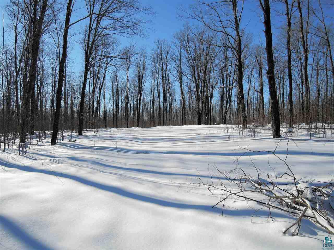 65-xxx Simo Road Marengo, WI 54855 - Photo 5 of 17