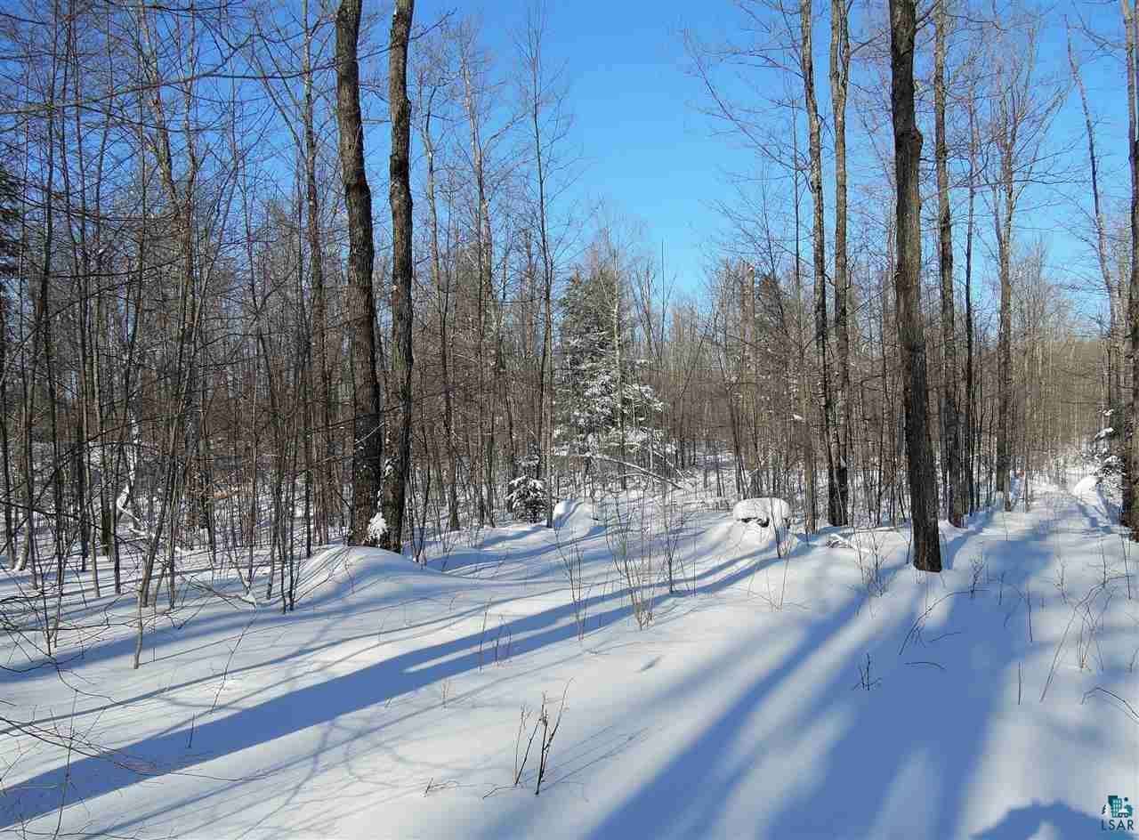65-xxx Simo Road Marengo, WI 54855 - Photo 6 of 17