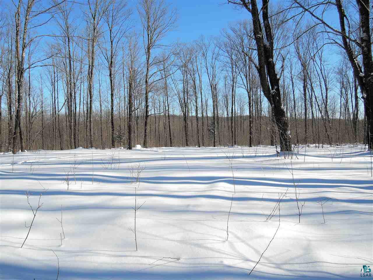 65-xxx Simo Road Marengo, WI 54855 - Photo 8 of 17