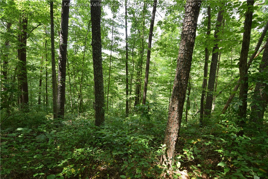 1550 Watts Chapel Road Kenna, WV 25248 - Photo 4 of 6 Gallery Image 4