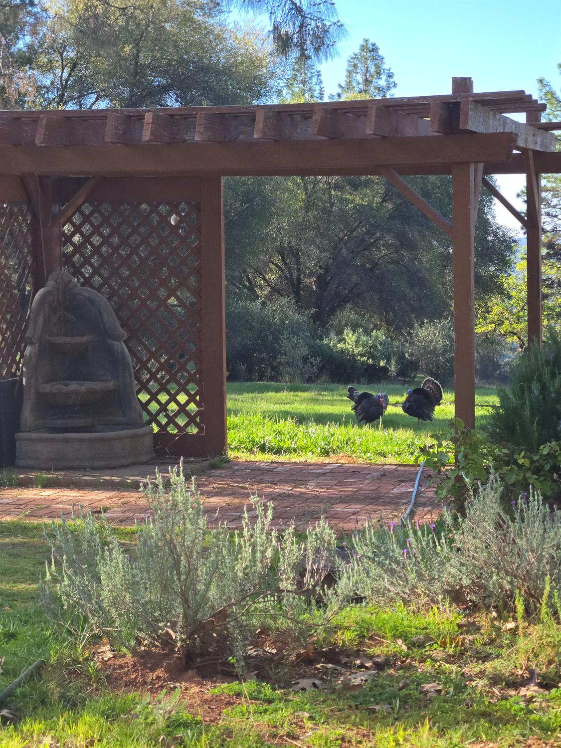 6880 Kahala Road Garden Valley, CA 95633 - Photo 37 of 52 a view of a bench in the garden