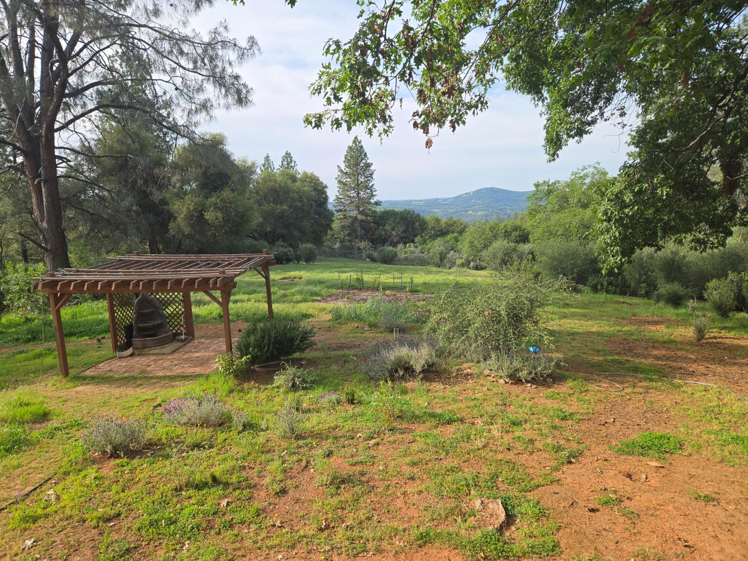 6880 Kahala Road Garden Valley, CA 95633 - Photo 44 of 52 a view of a garden with an outdoor space